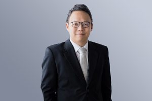 lim wei chien n partners advocate solicitor cn
